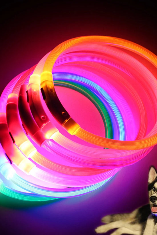 Glow Dog Collars Rechargeable LED Night Flashing Luminous USB Charging Pet Dog Puppy Neck Collar Light S M L Size